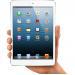 Apple iPad Mini 16 GB Black (Demo) MD993NF/A